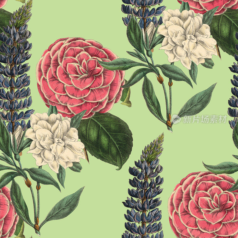 Victorian Botanical, Hand-Colored, Seamless Repeating pattern. Realistic blooming isolated flowers Vintage fabric background. Beautiful Cottage Garden and wildflowers. Wallpaper baroque. Drawing engraving. Victorian Illustration.
